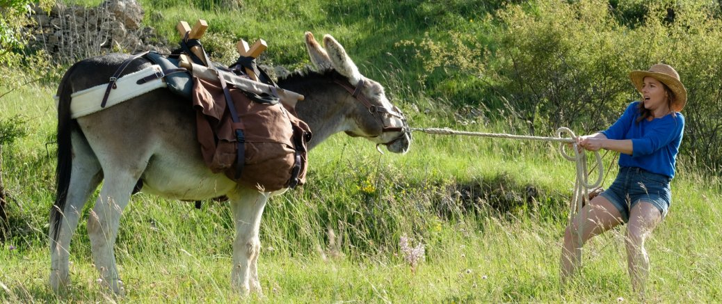 ANTOINETTE DANS LES CEVENNES